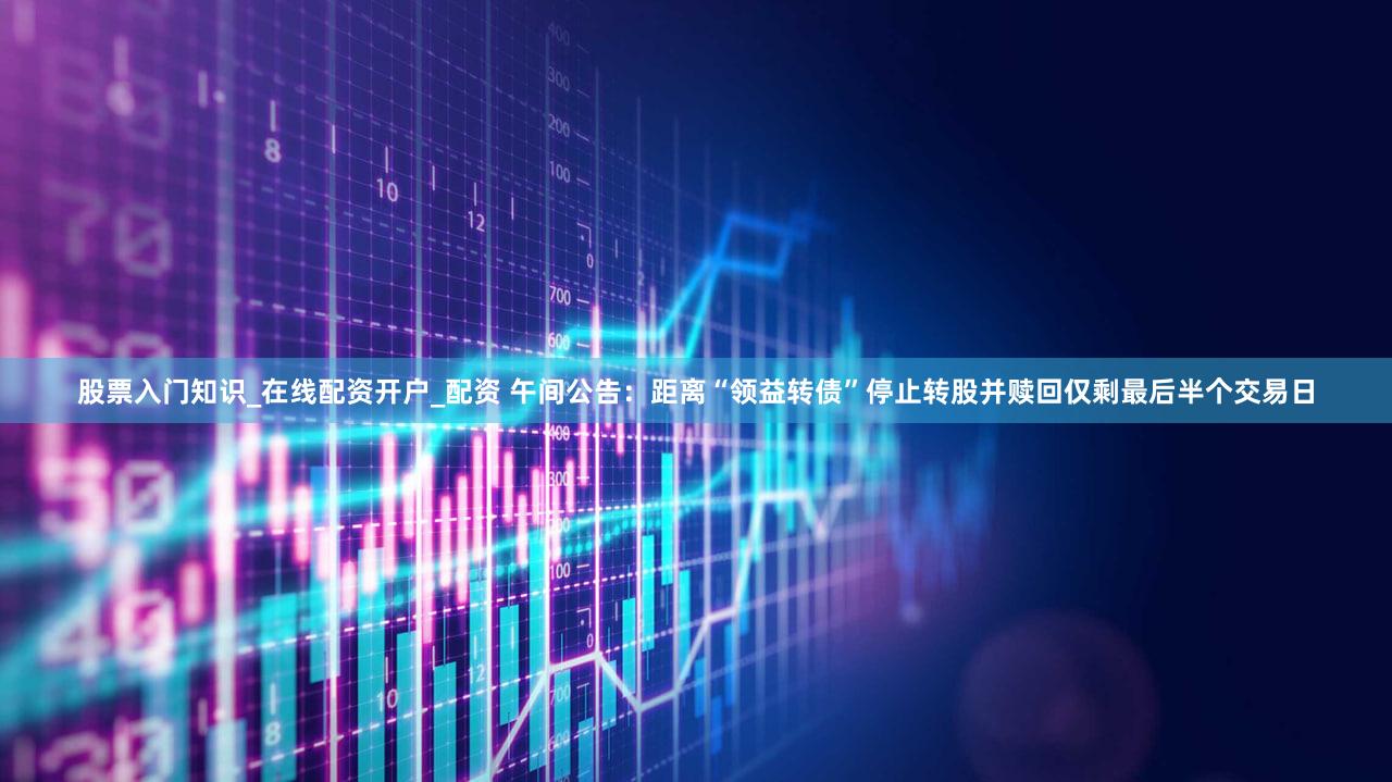 股票入门知识_在线配资开户_配资 午间公告：距离“领益转债”停止转股并赎回仅剩最后半个交易日
