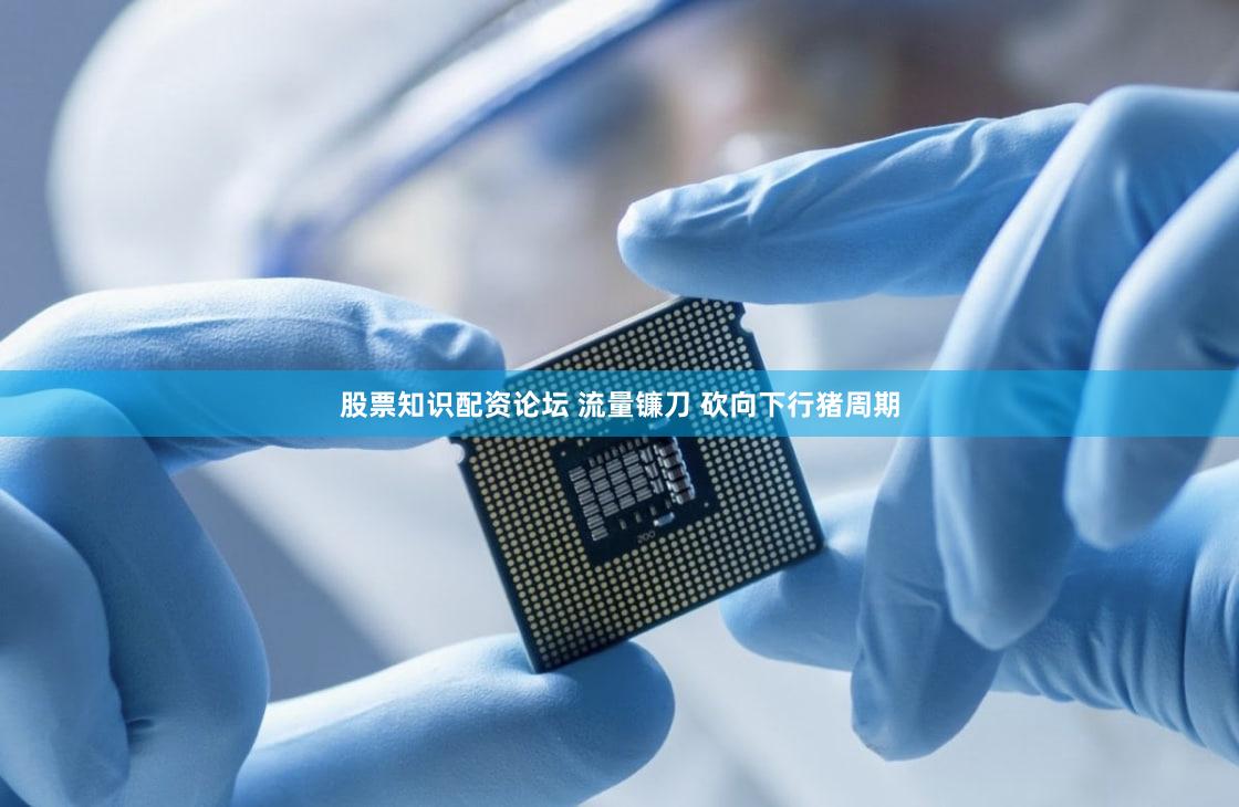 股票知识配资论坛 流量镰刀 砍向下行猪周期