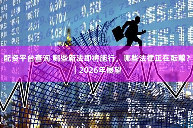 配资平台查询 哪些新法即将施行，哪些法律正在酝酿？｜2026年展望