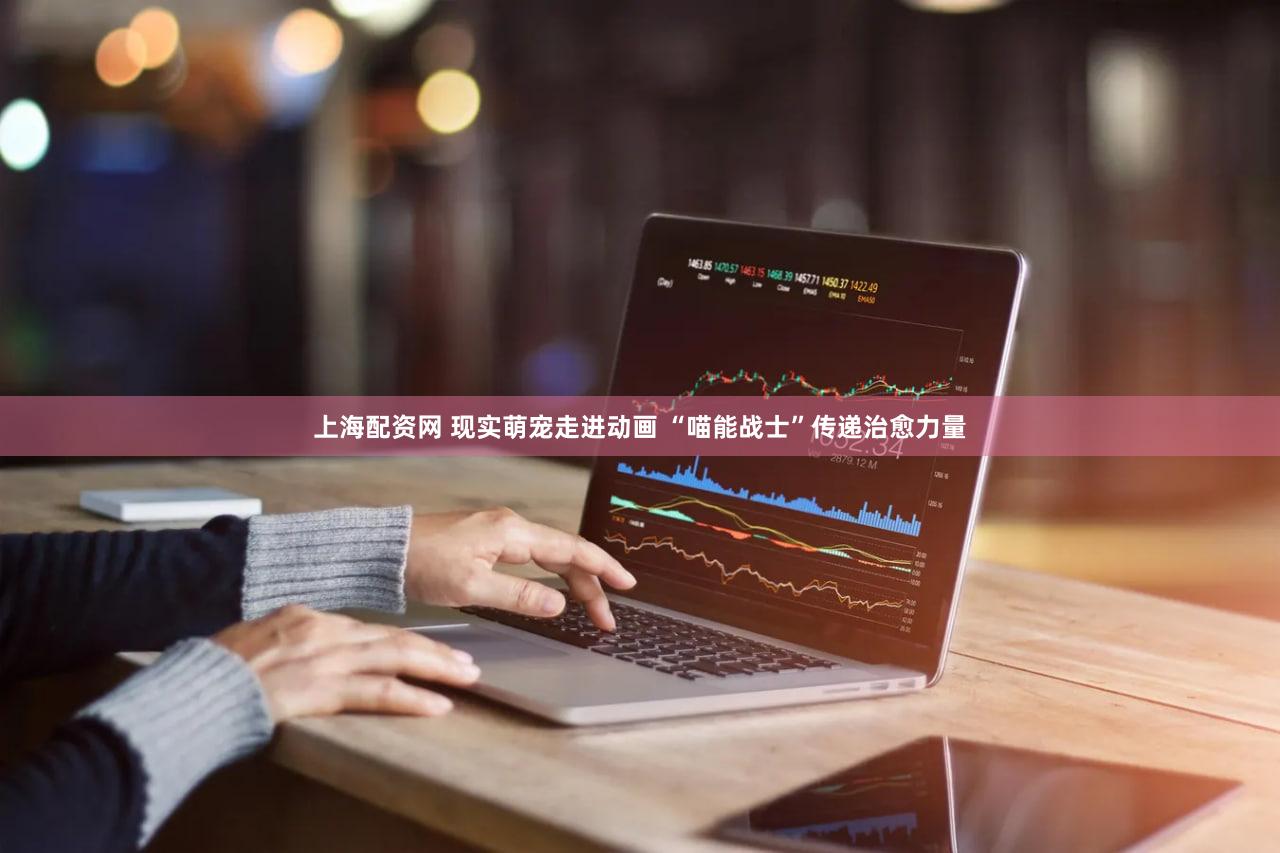 上海配资网 现实萌宠走进动画 “喵能战士”传递治愈力量