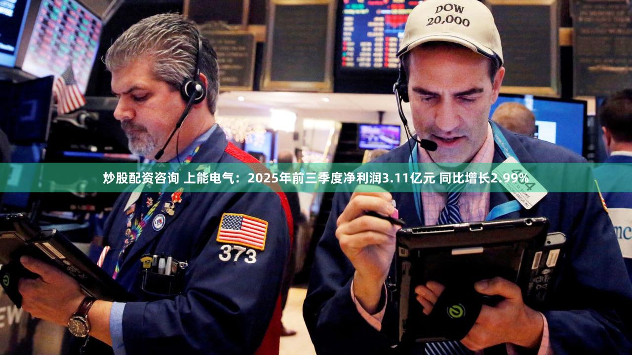 炒股配资咨询 上能电气:2025年前三季度净利润3.11亿元 同比增长2.99%