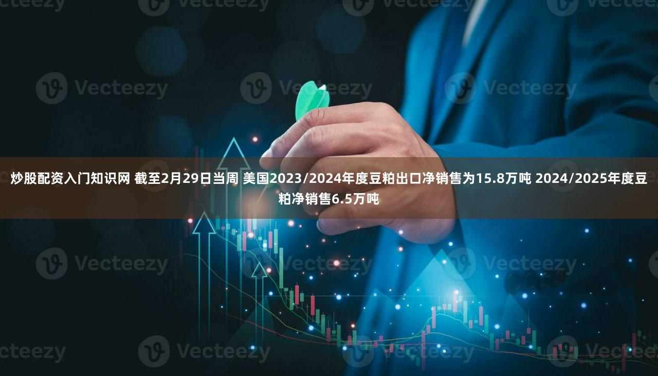 炒股配资入门知识网 截至2月29日当周 美国2023/2024年度豆粕出口净销售为15.8万吨 2024/2025年度豆粕净销售6.5万吨