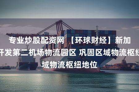 专业炒股配资网 【环球财经】新加坡将开发第二机场物流园区 巩固区域物流枢纽地位