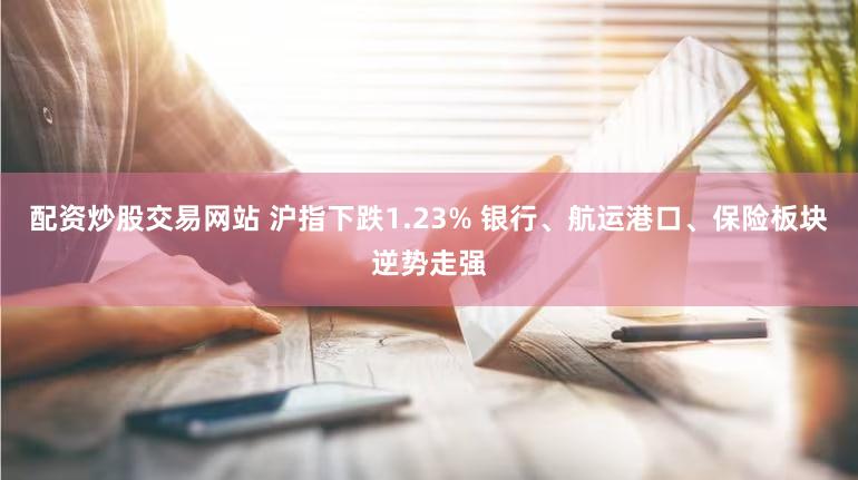 配资炒股交易网站 沪指下跌1.23% 银行、航运港口、保险板块逆势走强