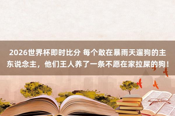 2026世界杯即时比分 每个敢在暴雨天遛狗的主东说念主，他们王人养了一条不愿在家拉屎的狗！